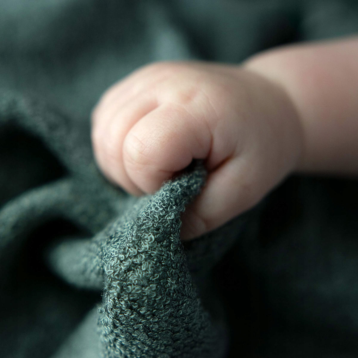 BUDDING BEAR bamboo nappies