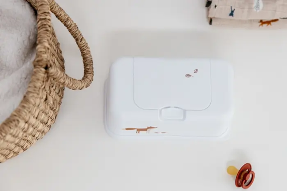 FUNKYBOX recipient pentru șervețele umede cu capac rabatabil 12,5 x 22 x 8,5 cm