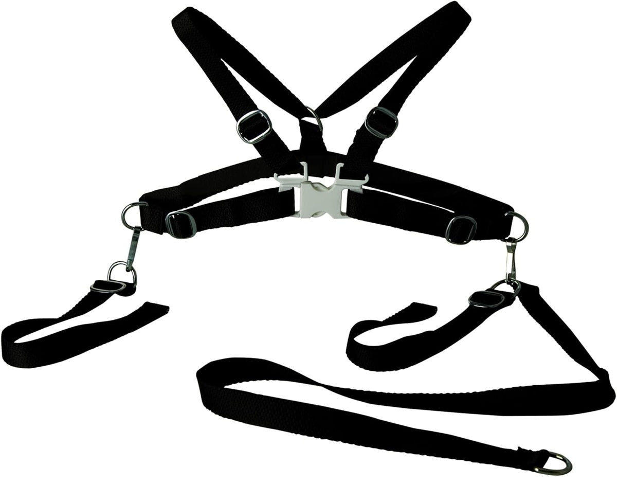 ARNÉS DE SEGURIDAD SUNNYBABY para silla alta o para aprender a caminar