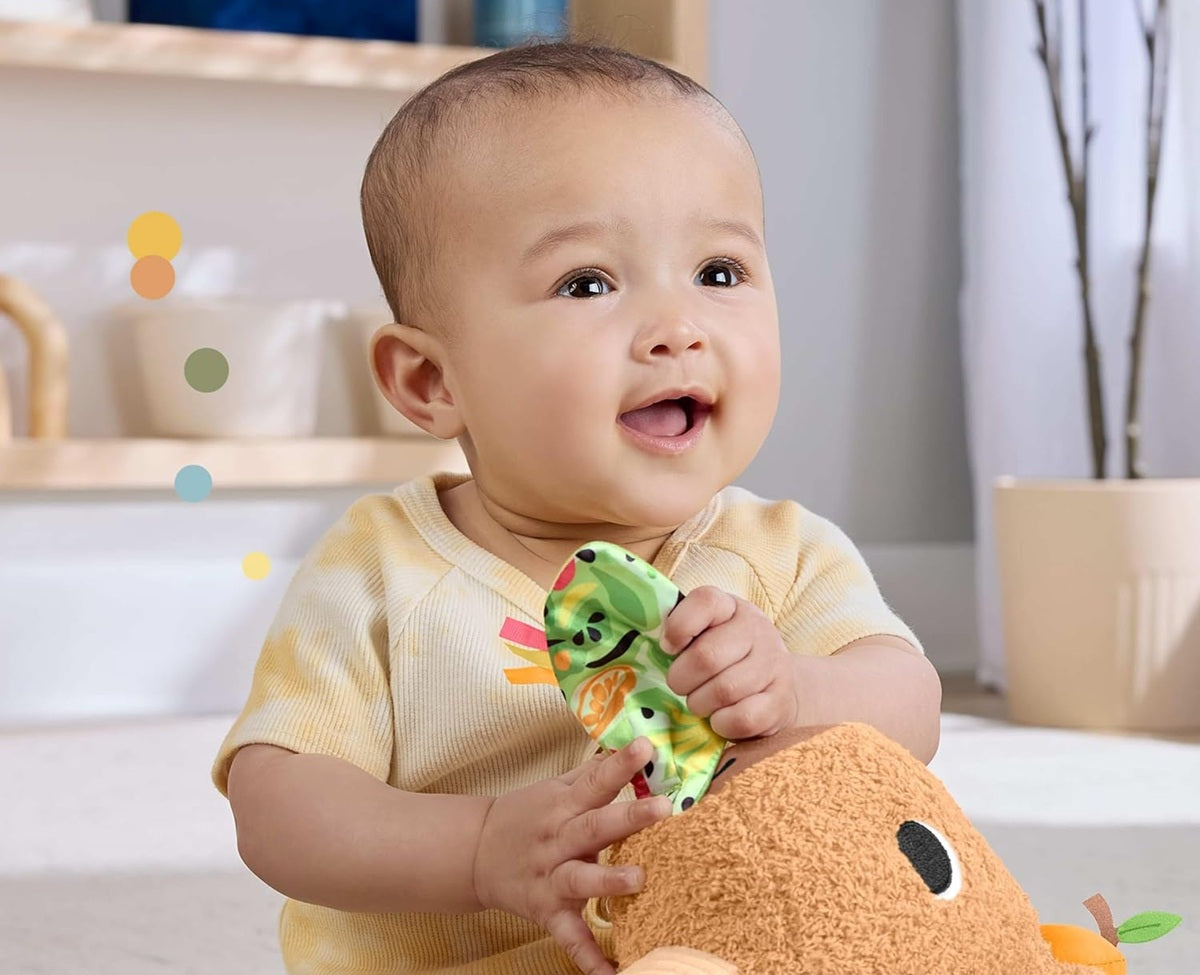 FISHER-PRICE pluchen sensorische capibara met bijtspeeltje en rammelaar 23,5 cm