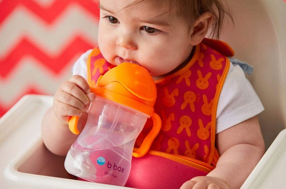 B.BOX Vaso antiderrame Sippy Cup 240 ml 6 m+