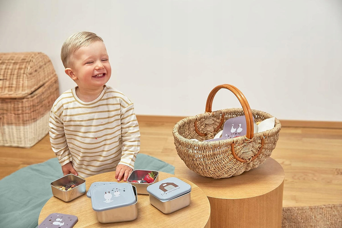 LASSIG Snackbox set de cajas de acero para snacks x3