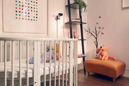 MOTOROLA PIP1010 Connect electronic nanny cam