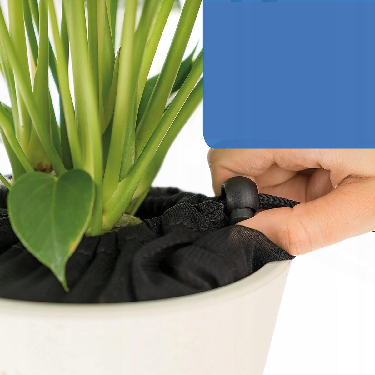 REER protection pare-pot pour pot de fleurs jusqu'à 30 cm de diamètre