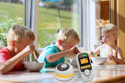 MOTOROLA 169 digital electronic nanny