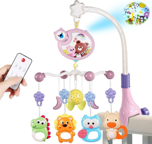 AOLSO carousel with projector + remote control