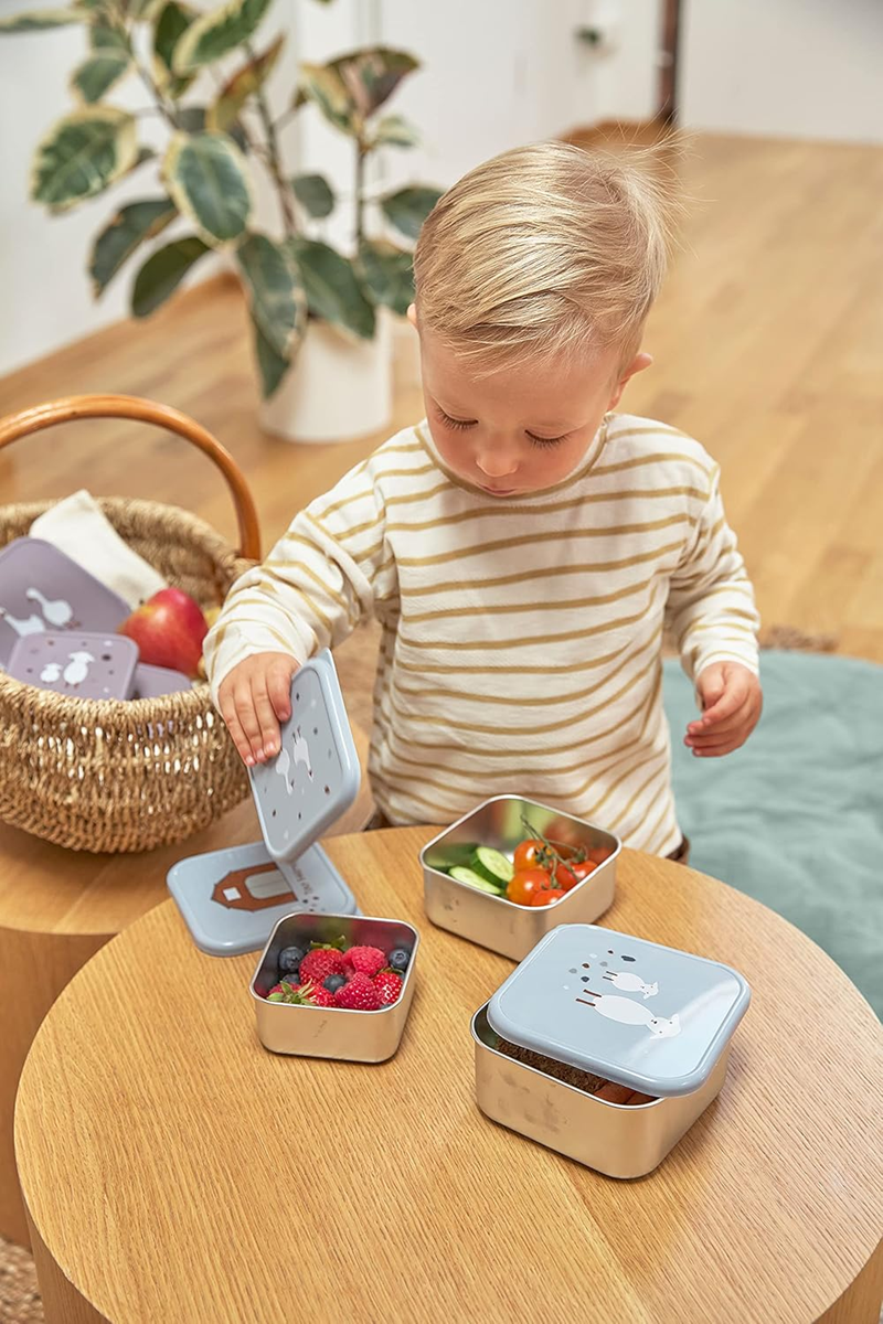 LASSIG Snackbox Edelstahl BROTZEITDOSEN x3