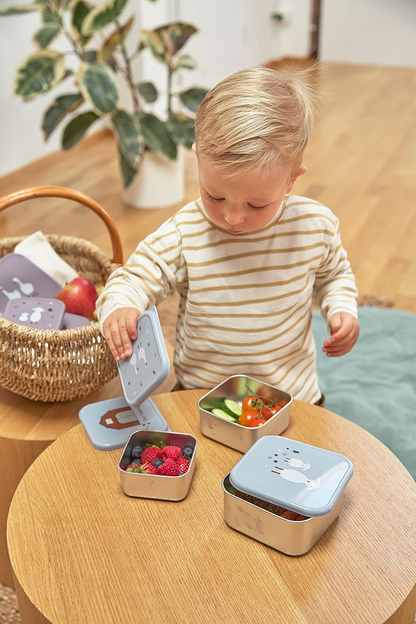 LASSIG Snackbox Edelstahl BROTZEITDOSEN x3