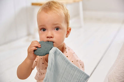 LASSIG hedgehog comfort blanket and teether