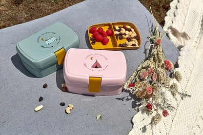LASSIG lunch box con vassoio estraibile per snack 460 ml TIPI