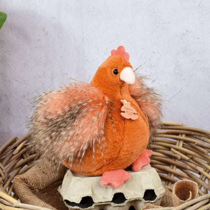 HISTOIRE d'OURS cuddly chicken