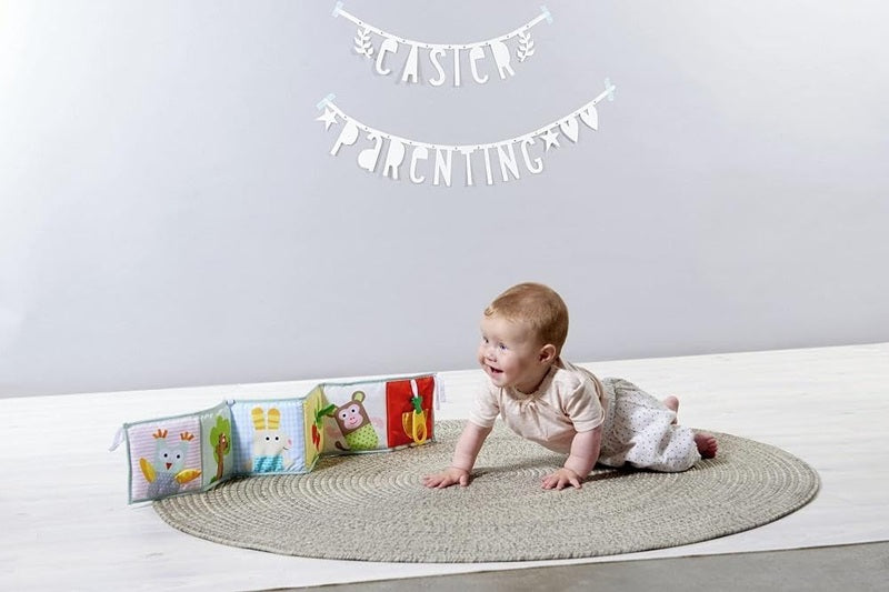 TAF TOYS contrast book