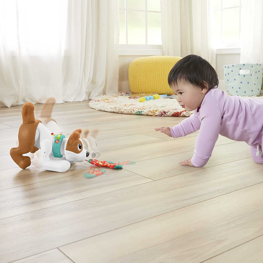 FISHER-PRICE interaktywny PIESEK j. niemiecki, zabawka edukacyjna dla dzieci 6 m+, zachęca do raczkowania