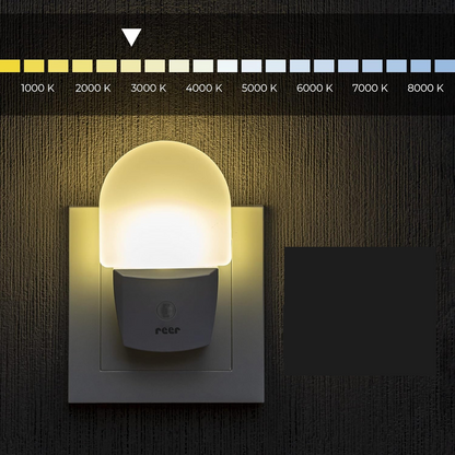 REER NightGuide lampka nocna LED do gniazdka, czujnik ciemności 6 x 9,5 cm – zdjęcie produktu 4
