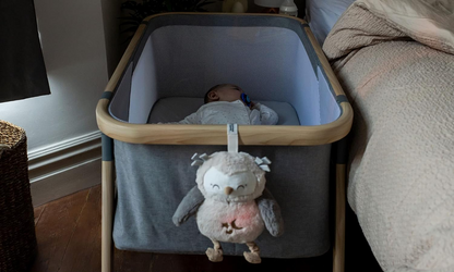 TOMMEE TIPPEE Sowa Ollie Deluxe PRZYTULANKA lampka dźwięki – zdjęcie produktu 5