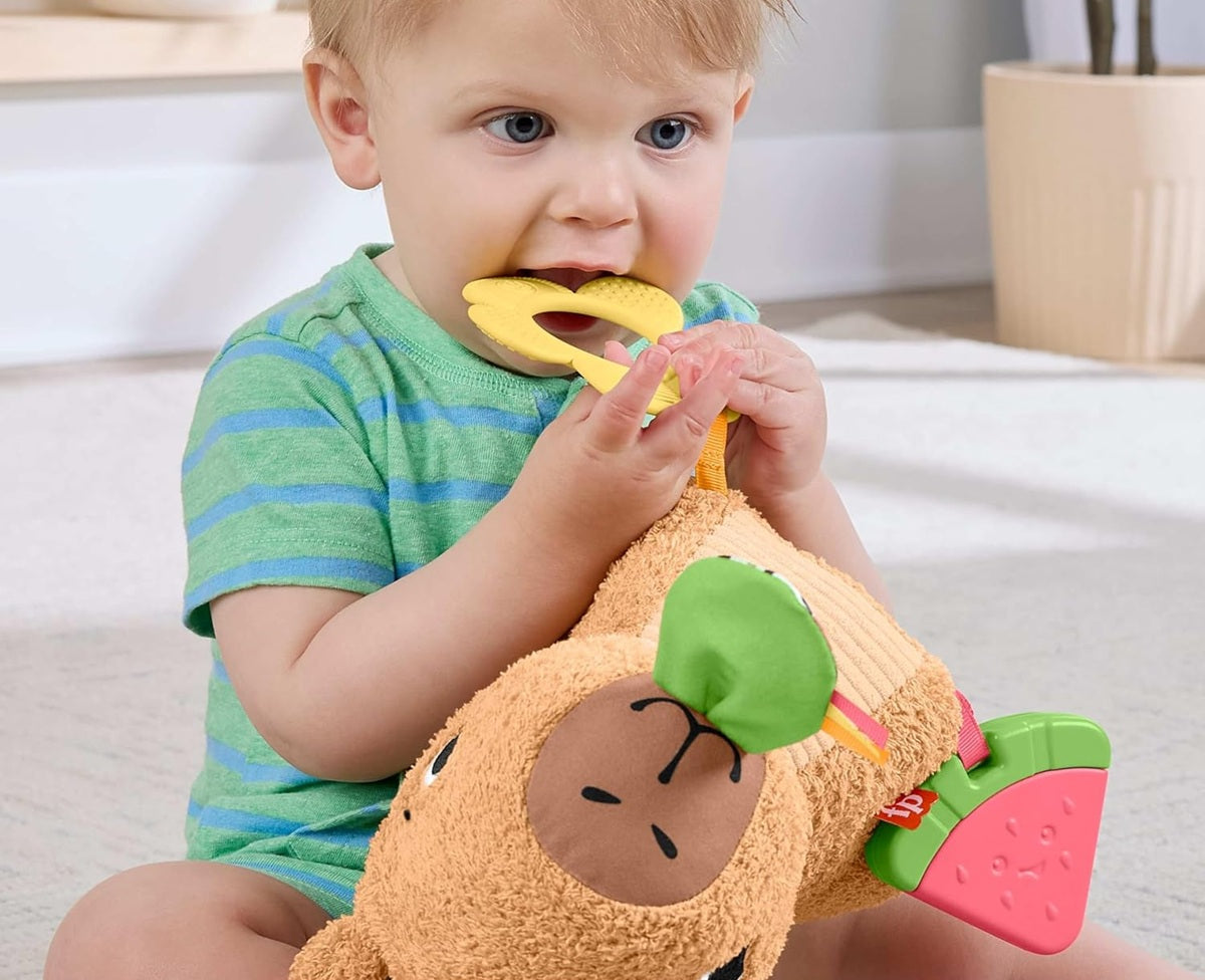 FISHER-PRICE μαλακή αισθητηριακή καπιμπάρα με οδοντοφυΐα και μαράκα 23,5 εκ.