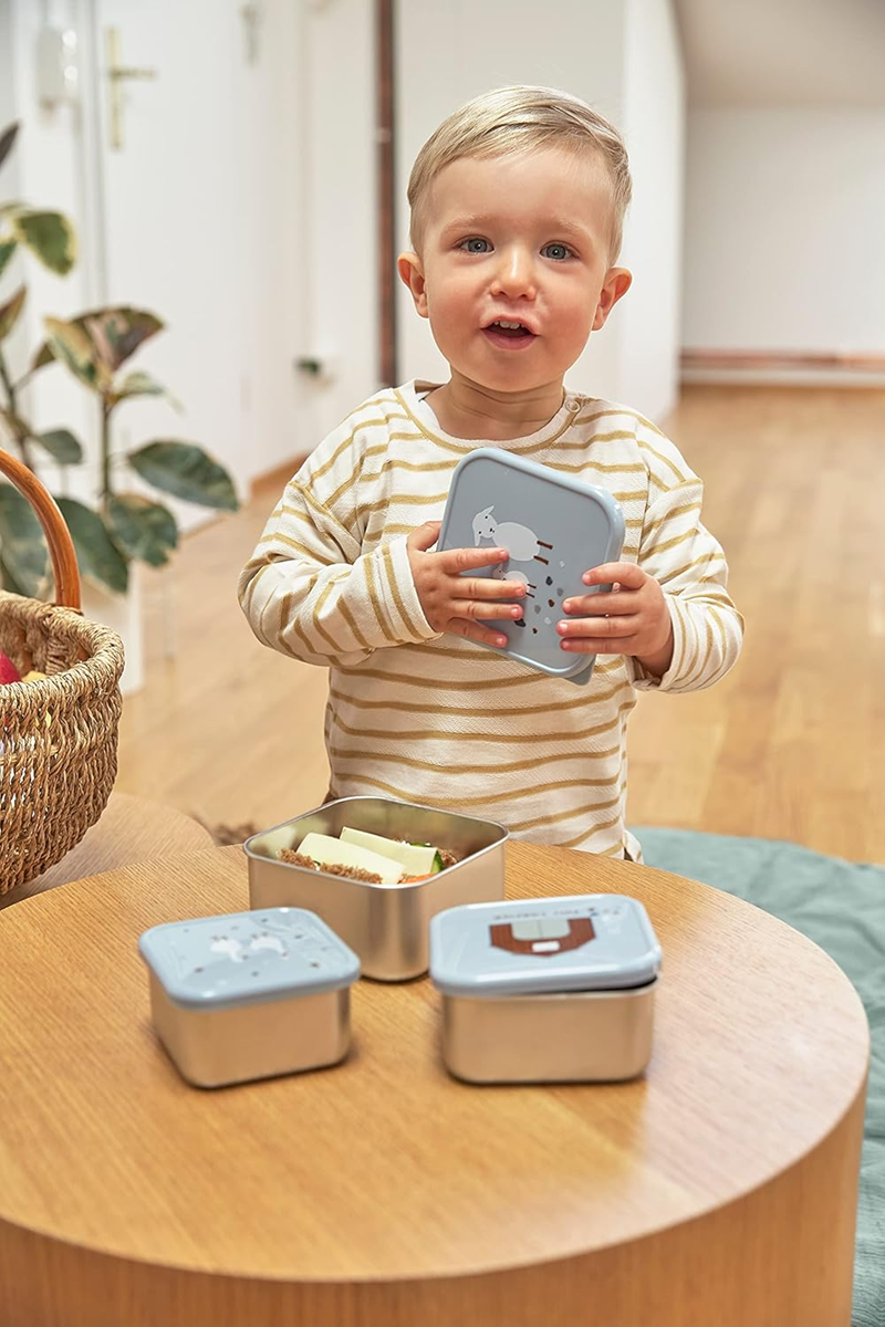 LASSIG Snackbox cutii din oțel pentru gustări x3